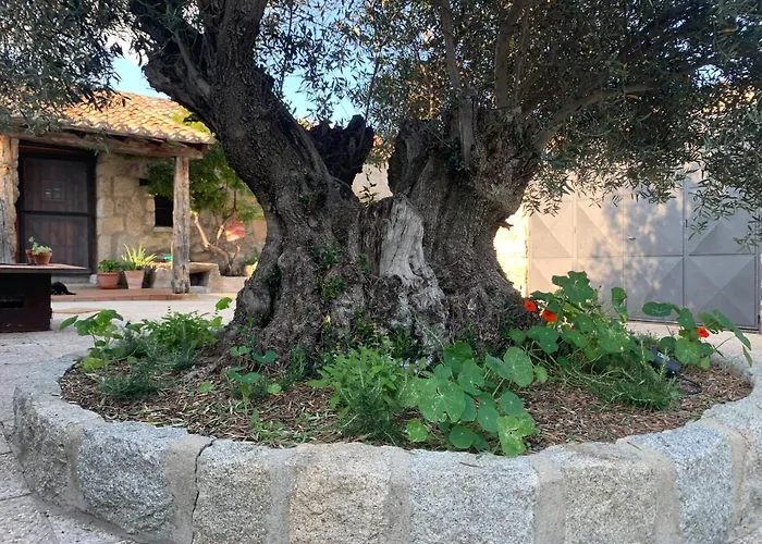 La Casita Del Hortelano