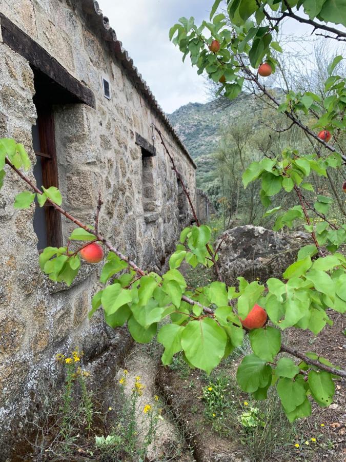 La Casita Del Hortelano Holiday home *