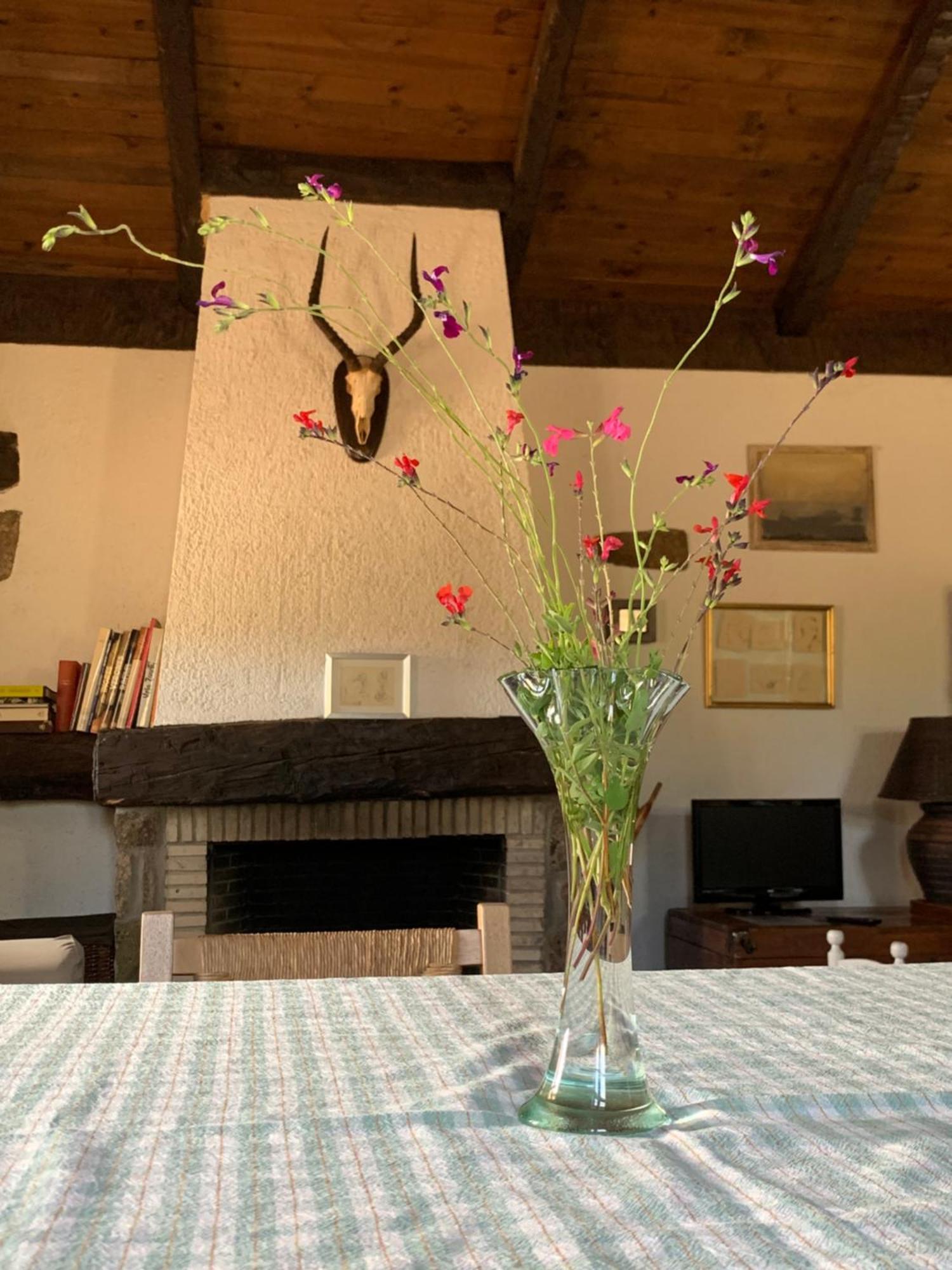 Holiday home La Casita Del Hortelano
